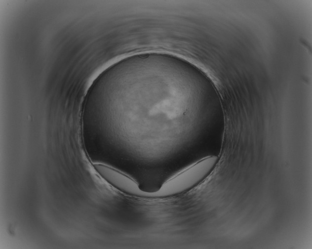 X0000091361534200709071251