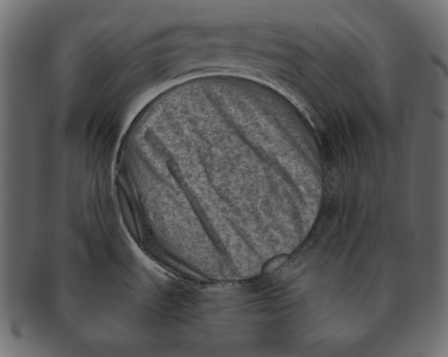 X0000091361535200709071251