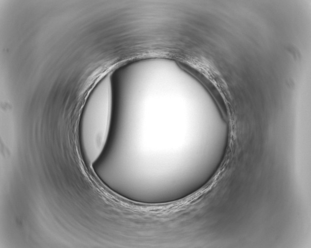 X0000091370001200708101123