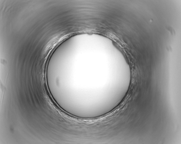 X0000091370002200708101123