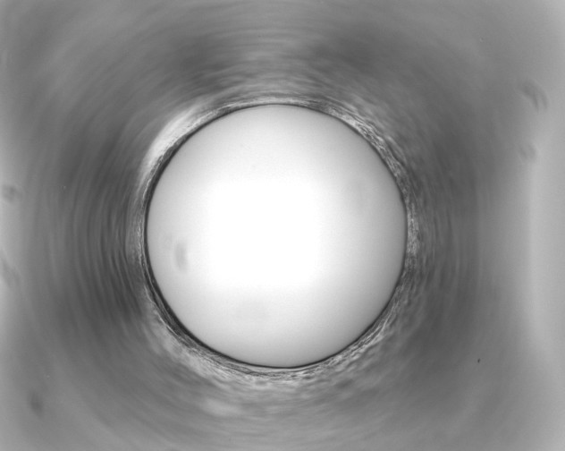 X0000091370004200708101123