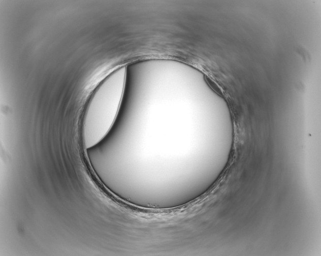 X0000091370005200708101123