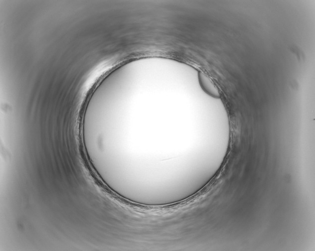 X0000091370006200708101123