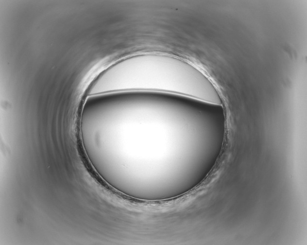 X0000091370007200708101123