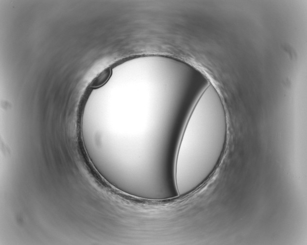 X0000091370008200708101123