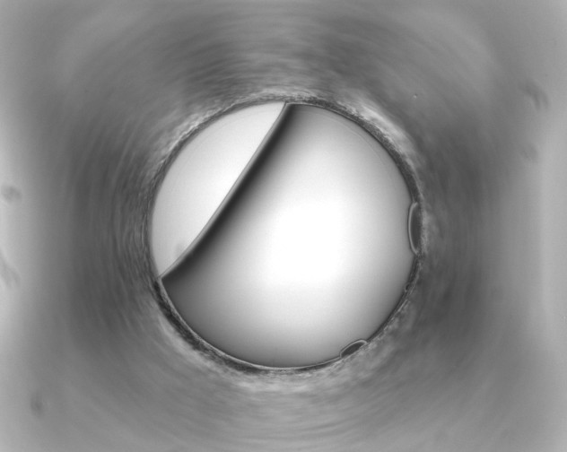 X0000091370009200708101123