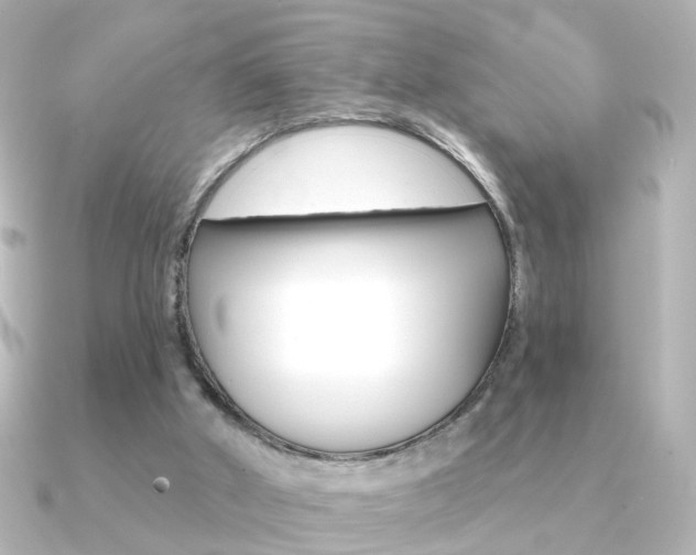 X0000091370010200708101123