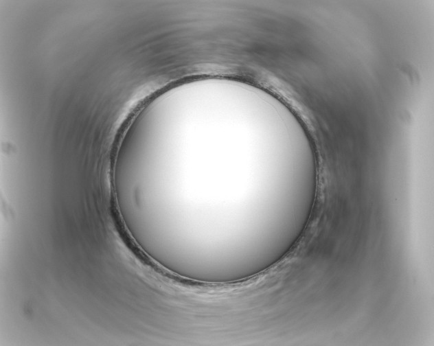 X0000091370011200708101122