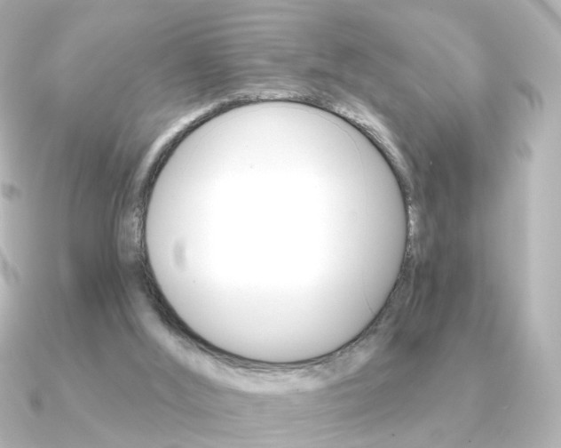 X0000091370012200708101122