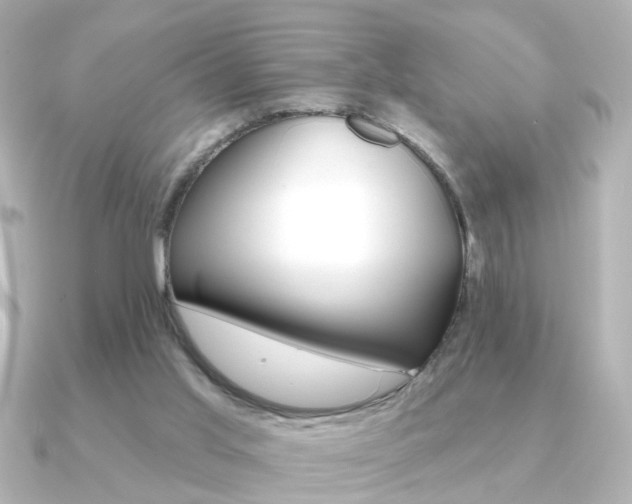 X0000091370013200708101122