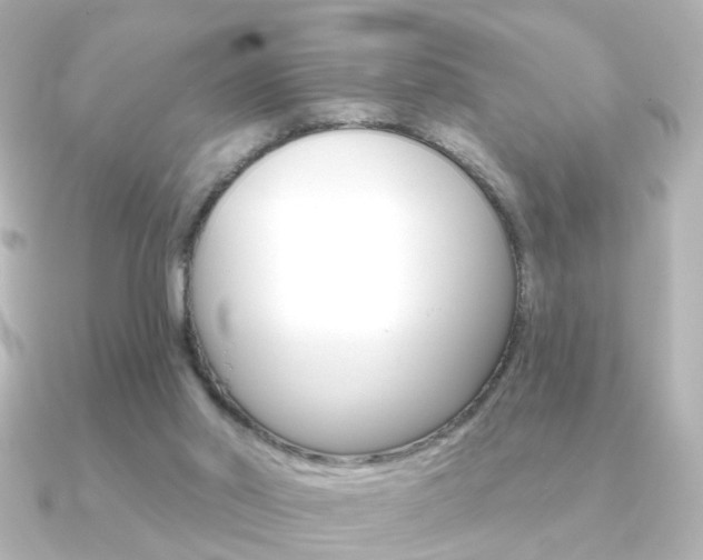 X0000091370014200708101122