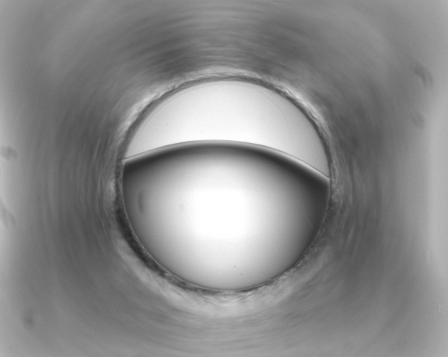 X0000091370015200708101122