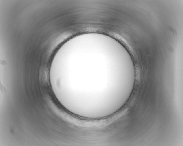 X0000091370016200708101122