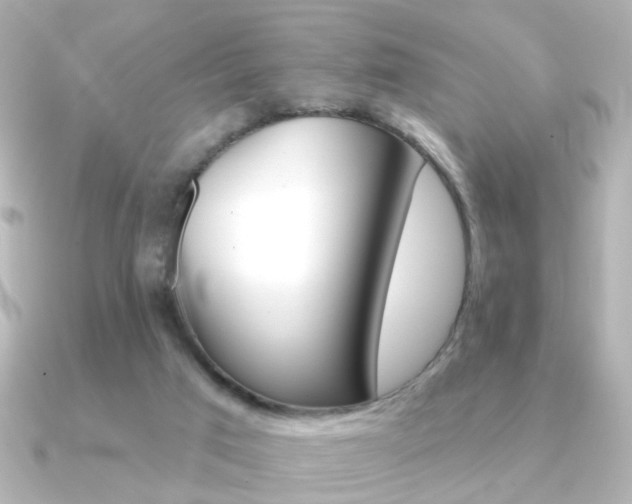 X0000091370017200708101122