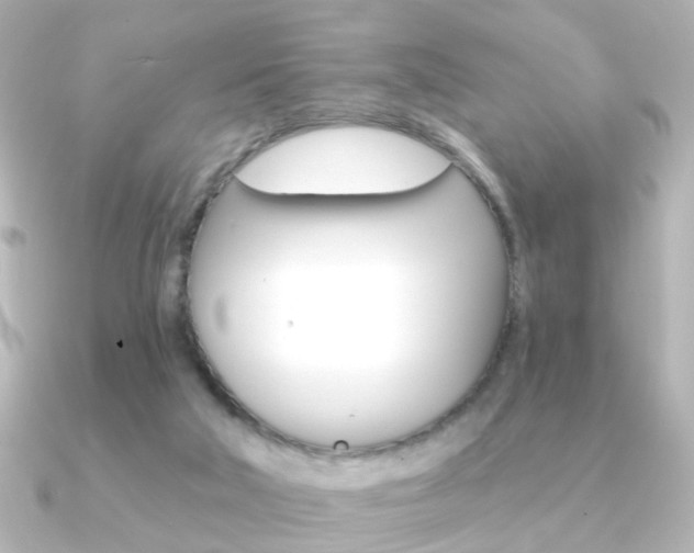 X0000091370018200708101122