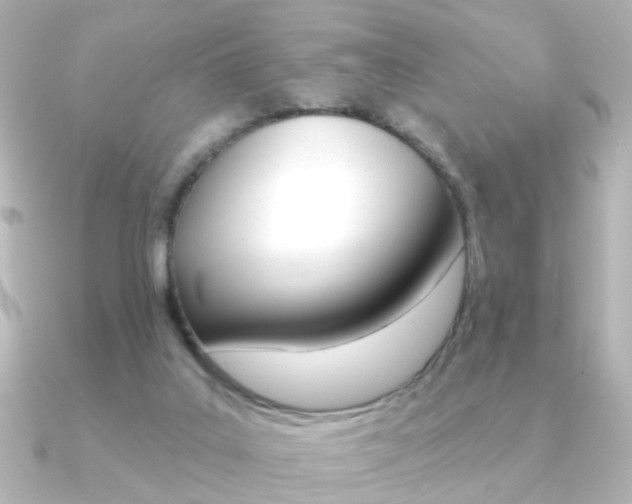 X0000091370019200708101122