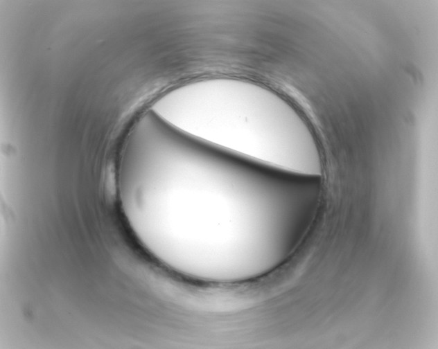 X0000091370020200708101122