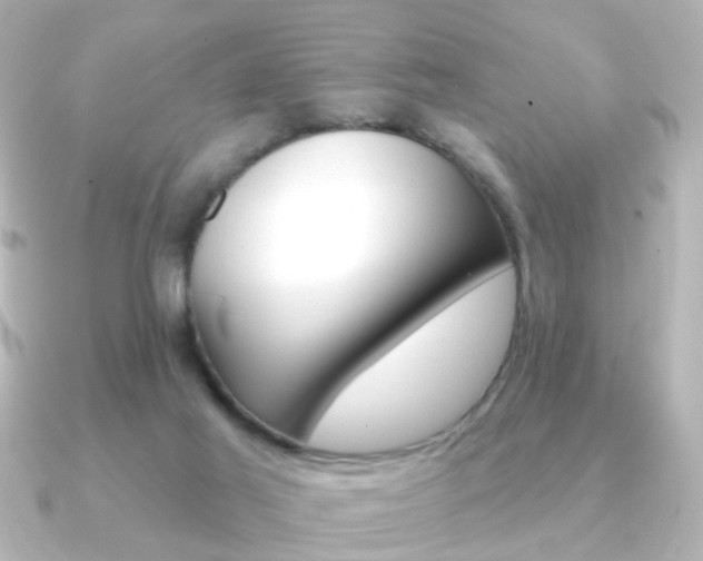 X0000091370021200708101122