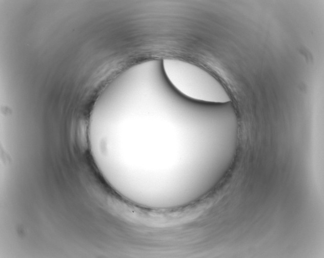 X0000091370022200708101122