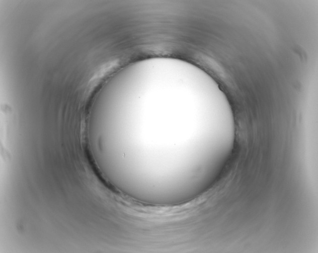 X0000091370023200708101122