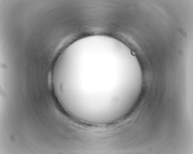 X0000091370024200708101122