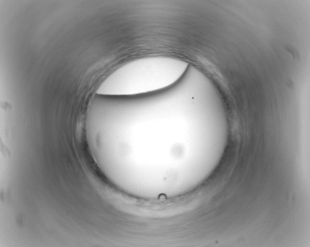 X0000091370026200708101122