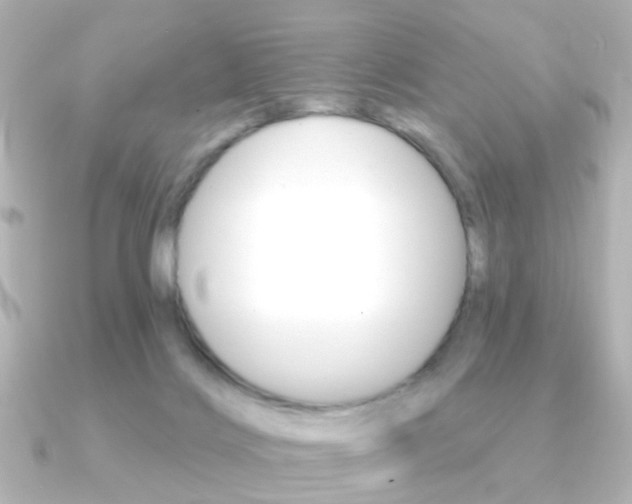 X0000091370028200708101122