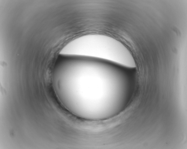 X0000091370029200708101122