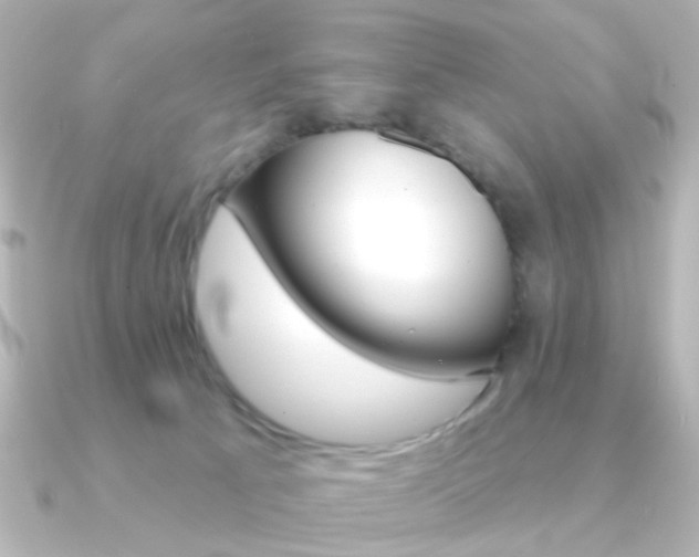 X0000091370033200708101122