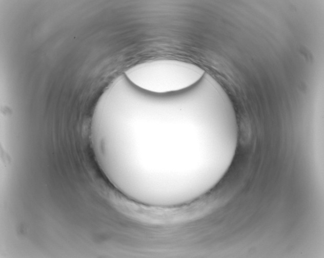 X0000091370034200708101122