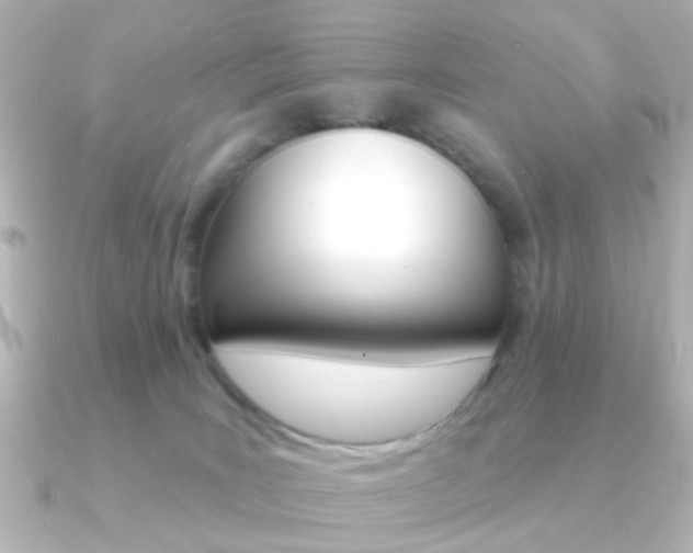 X0000091370035200708101122