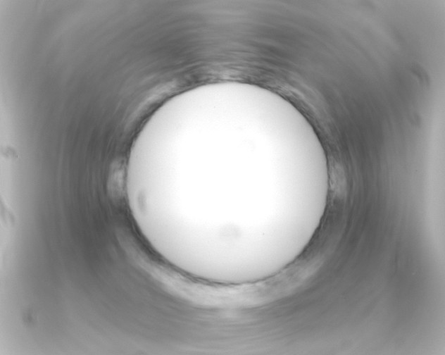 X0000091370036200708101122