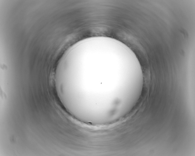 X0000091370038200708101122