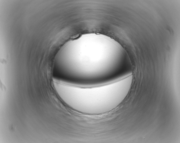 X0000091370039200708101122