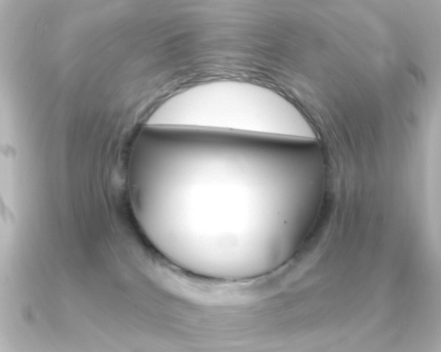 X0000091370040200708101122