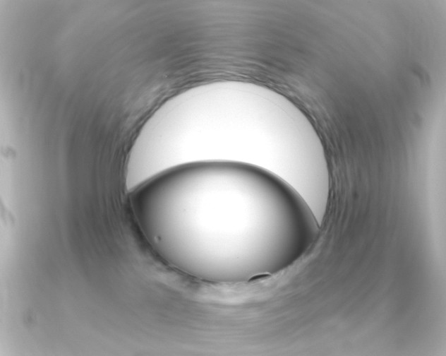 X0000091370041200708101122