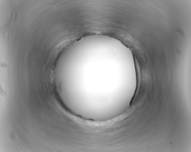 X0000091370043200708101122