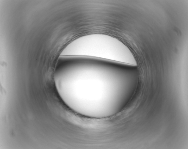 X0000091370044200708101122