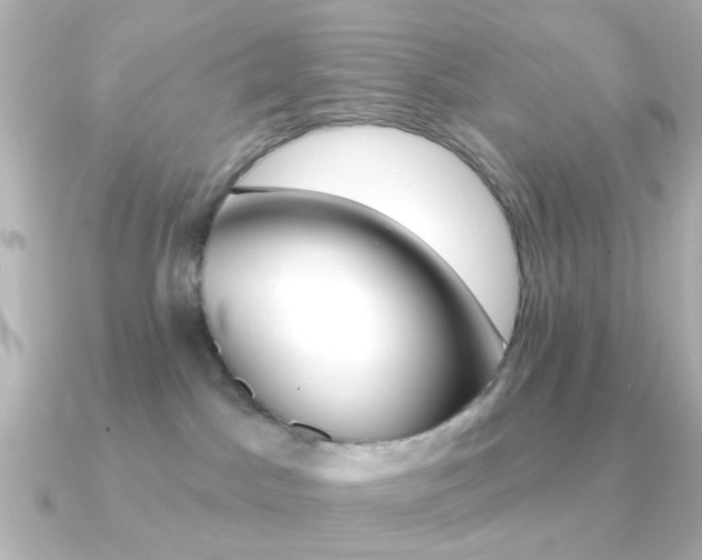 X0000091370045200708101122