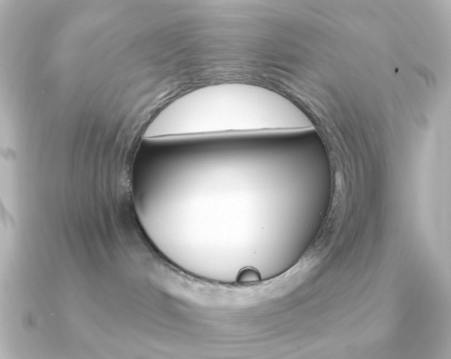 X0000091370048200708101122