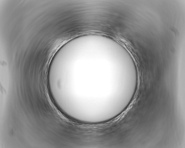 X0000091370049200708101122