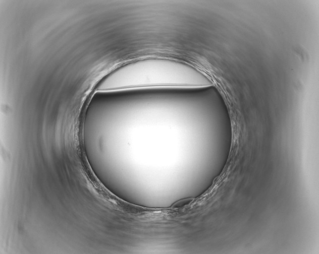 X0000091370050200708101122