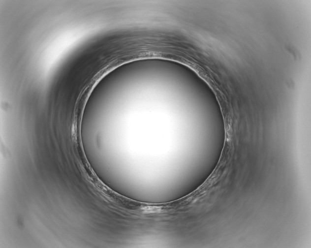 X0000091370052200708101122