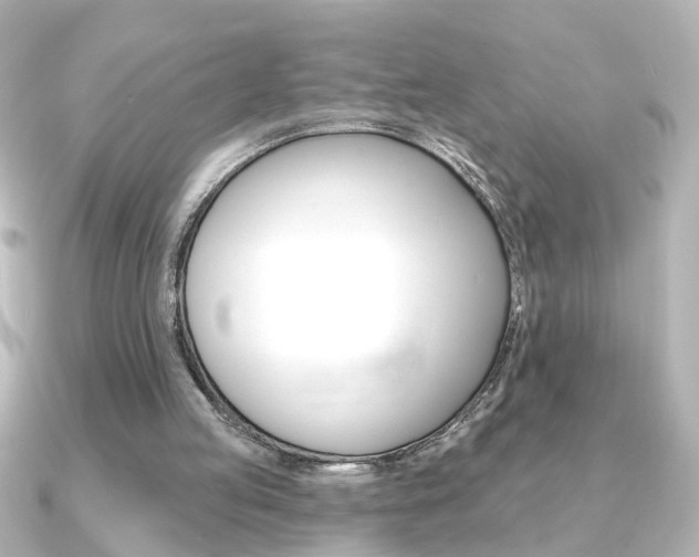 X0000091370053200708101122