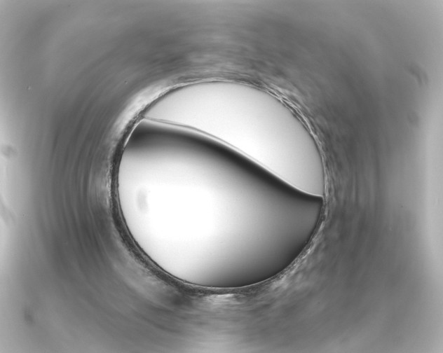 X0000091370054200708101122