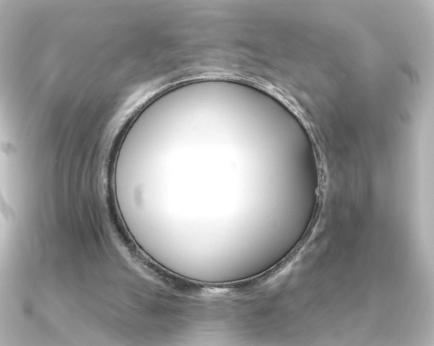 X0000091370055200708101122