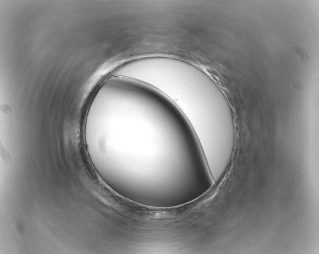 X0000091370056200708101122