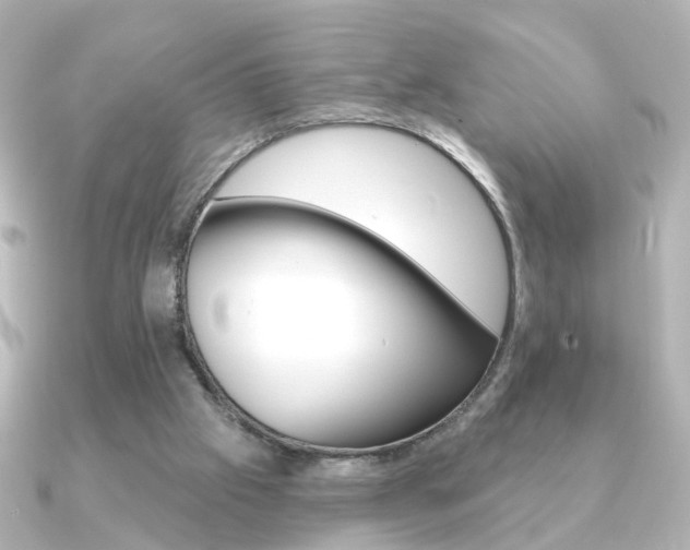 X0000091370057200708101122