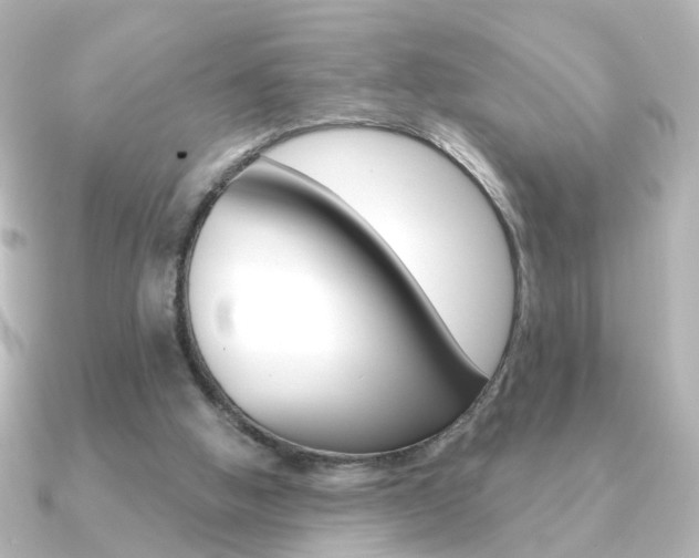 X0000091370058200708101122