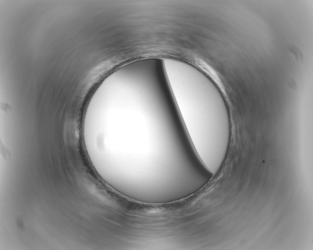 X0000091370059200708101122